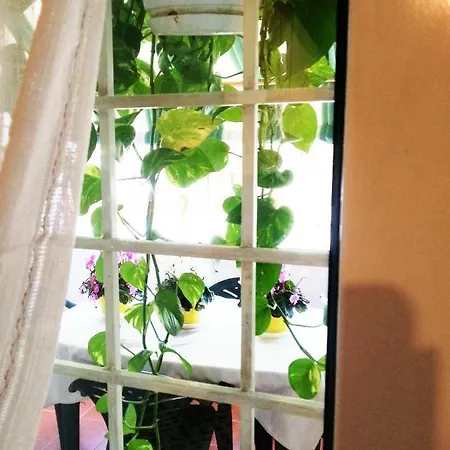 Immenso Amore Appartement *